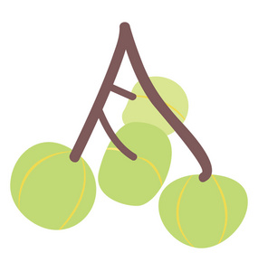 水果命名绿色樱桃营养学家食品