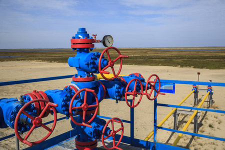 石油天然气工业。 组合井口和阀门电枢
