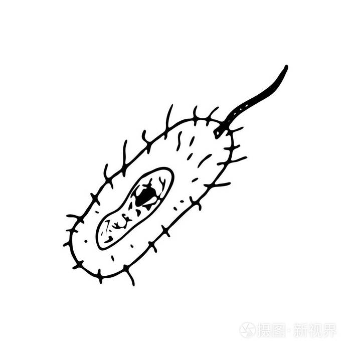 手绘细菌涂鸦图标手绘黑色素描签名符号装饰元素白色背景孤立无援平面