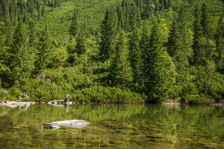 一个美丽的，干净的湖在山谷里平静，阳光明媚的一天。夏天有水的山景。斯洛伐克，欧洲的塔特里山。