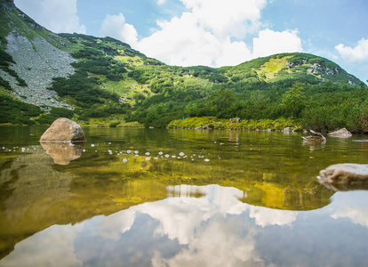 一只美丽的棕色母鸭在山湖里游泳。 带鸟的山景。 斯洛伐克塔特拉山。