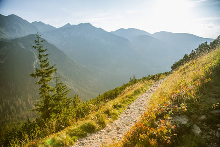 一条美丽的登山小径。 斯洛伐克的山地景观。 步行小径风景。