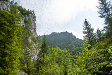 低塔特拉地区森林悬崖的美丽景观。 斯洛伐克欧洲阳光明媚的日子，五彩缤纷的风景。