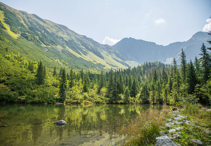 在平静的晴天，山谷里有一个美丽而干净的湖。 夏天有水的山景。 斯洛伐克欧洲的纹身山。