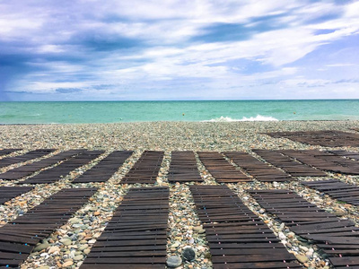 海岸的景观