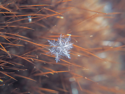 雪花在五颜六色的背景上美丽