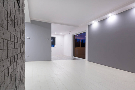 带新夹层地板和装饰墙的客厅