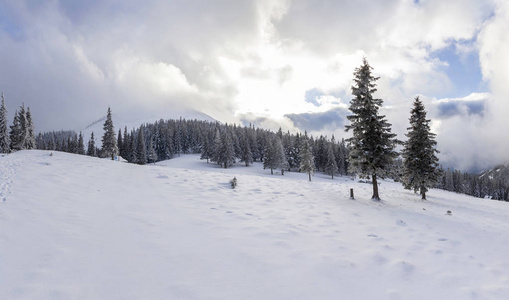 美丽的冬季山景。 高大的松树覆盖着雪和霜，在明亮的蓝天上，白云和遥远的山脉复制了空间背景。 新年快乐，圣诞快乐。