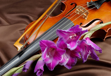 角斗士和小提琴。 丝绸背景上的小提琴和花。