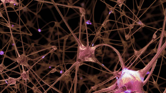 神经元细胞和突触网络的三维绘制，在人脑内部传递信息时，电脉冲和放电通过该网络