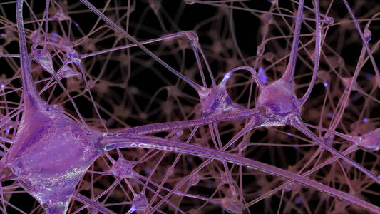 神经元细胞和突触网络的三维绘制，在人脑内部传递信息时，电脉冲和放电通过该网络