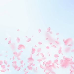 樱花花瓣落下。浪漫粉红色的花朵渐变。蓝天上的 backgro 广场上的飞翔花瓣