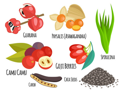 素食超级健康蔬菜生态食品新鲜有机传统美食营养矢量插画