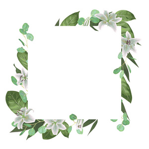 矢量卡花纹设计采用绿色水彩，草本，叶桉，白百合，植物绿，装饰框，方形..可爱的问候，明信片模板，婚礼邀请