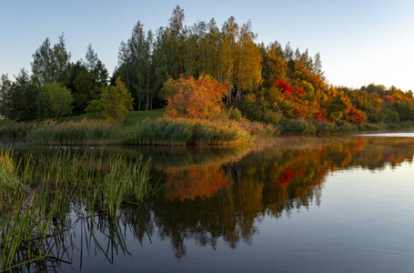 秋天的季节开始田园诗般的湖面倒影秋天的叶子。五彩缤纷的秋叶，映在平静的水面上