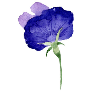 水彩紫甜豌豆花。 花卉植物花。 孤立的插图元素。 背景纹理包装图案框架或边框的水花野花。