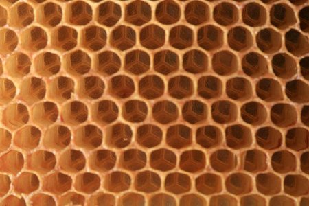 查看形状细胞蜂窝。 蜜蜂用蜡制成的蜜蜂贴片。 它用于储存蜂蜜Perga和繁殖幼虫。