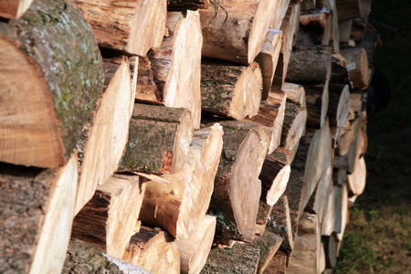 一堆木柴。 在农场的一所旧农舍为冬天准备木柴。