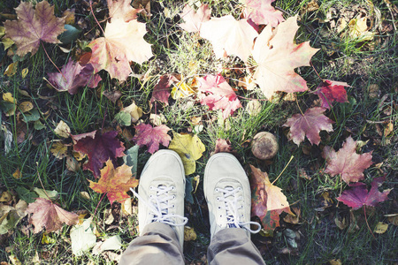 穿着鞋子站在秋天落叶上的人