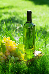 白葡萄酒瓶和葡萄。在葡萄园里户外。有你的文字空间