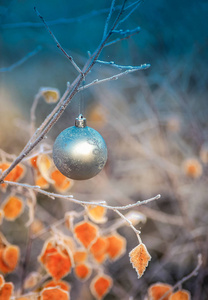 圣诞球挂在冬天森林里一棵桦树的树枝上