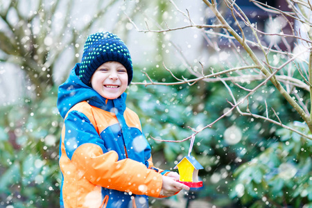 小家伙挂鸟房子在冬天喂养的树上的男孩