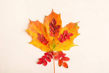 秋天的作文。 落叶纹理设计，粉彩背景平，风格