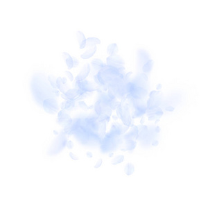 浅蓝色花瓣飘落