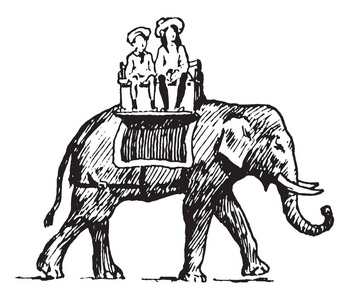 这个插图代表女孩骑大象复古线绘图或雕刻插图。
