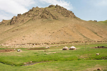 家庭 污垢 草地 吉尔吉斯斯坦 房子 大麦 收获 农田 乡村