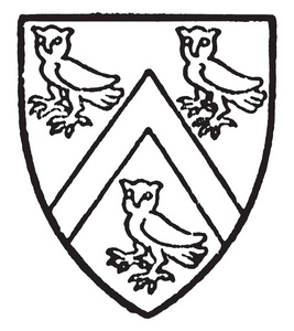 伯顿在三只银猫头鹰之间刻着一只雪佛龙貂，上面画着复古的线条或雕刻插图。