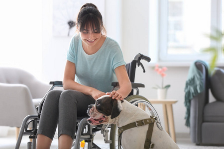 轮椅上的年轻女子带着服务犬在家