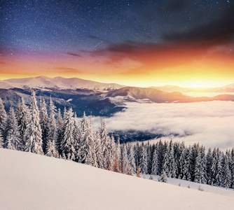 奶制品明星在冬天的树林里跋涉。 戏剧和风景如画的场景。 喀尔巴阡乌克兰欧洲。