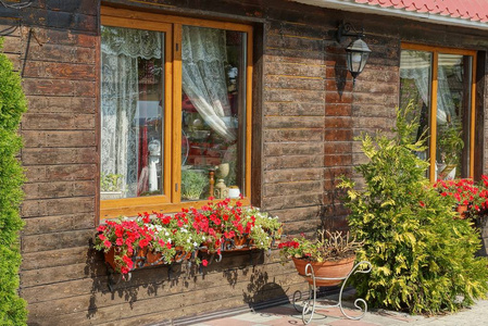房子的窗户和棕色的木墙，街上有装饰植物和花的花盆