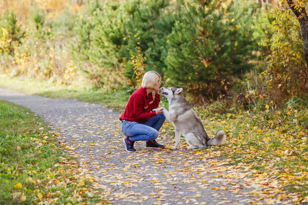 美丽的白种人女孩在秋天的森林或公园里玩哈士奇狗