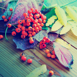 木桌上秋叶和浆果的俯视图