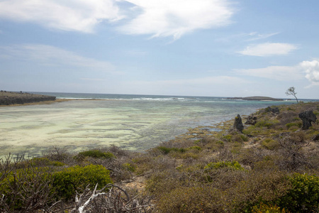 马达加斯加北部沿海植被阿莫罗尼亚橙湾