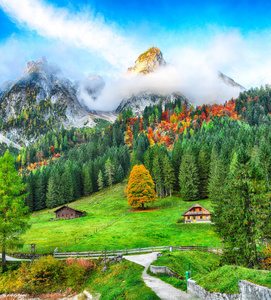 美丽的景色田园诗般的色彩斑斓的秋景，与达奇斯坦山顶，由高苏斯泰山湖在秋天，萨尔茨卡默古特地区，奥地利上部，奥地利