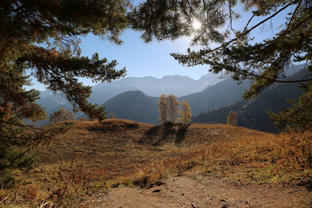 秋天在山林里温暖的早晨。