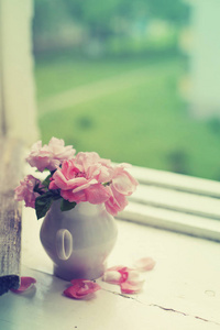 窗台盆中的粉红色牡丹花