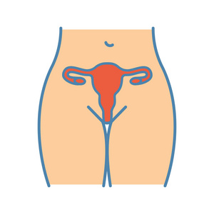s health. Gynecology. Isolated vector illustration