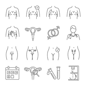 s health. Breast examination. Female reproductive system disorde