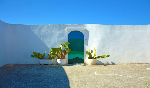 蓝色的门与仙人掌和传统的白色墙壁在奥图尼阿普利亚地区意大利。 全景横幅。