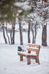 冬天雪中的长凳