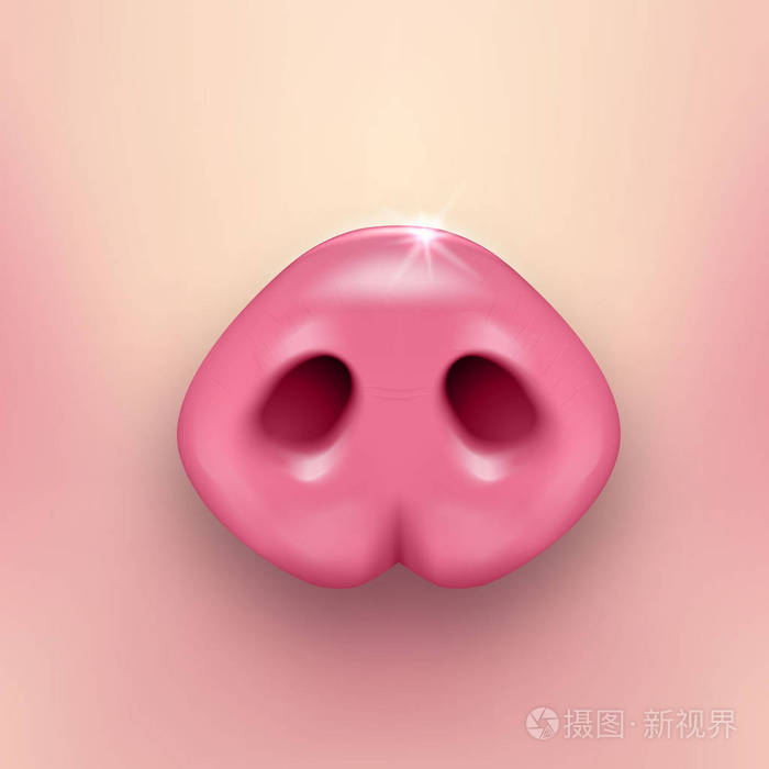 矢量逼真的3d 粉红色滑稽粉红色猪鼻子特写在猪皮肤背景.