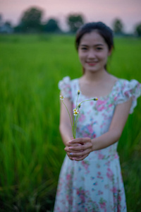 稻田里拿着草花的美丽女孩的肖像