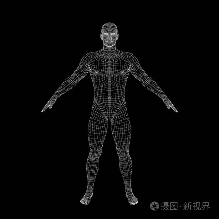 线框人体. 矢量轮廓图. 前面的风景.