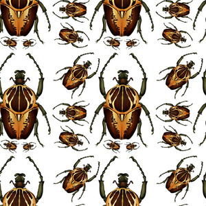甲虫无缝图案插图