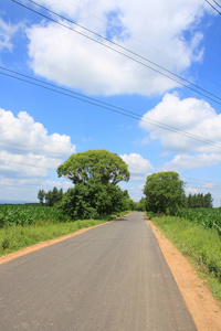 夏天的农村沥青路