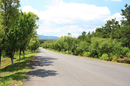 夏天的农村沥青路